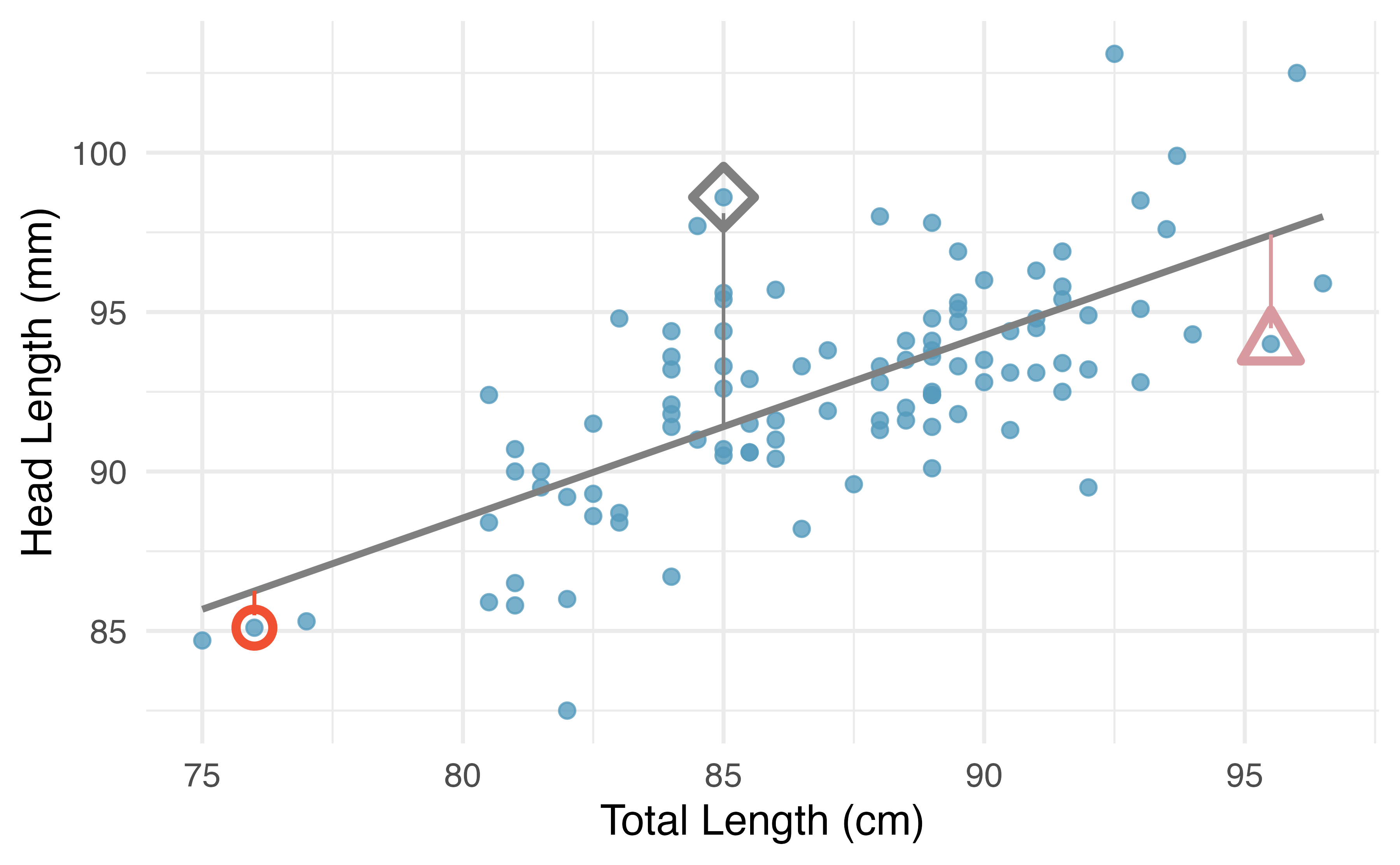 A reasonable linear model was fit to represent the relationship between head length and total length, with three points highlighted.