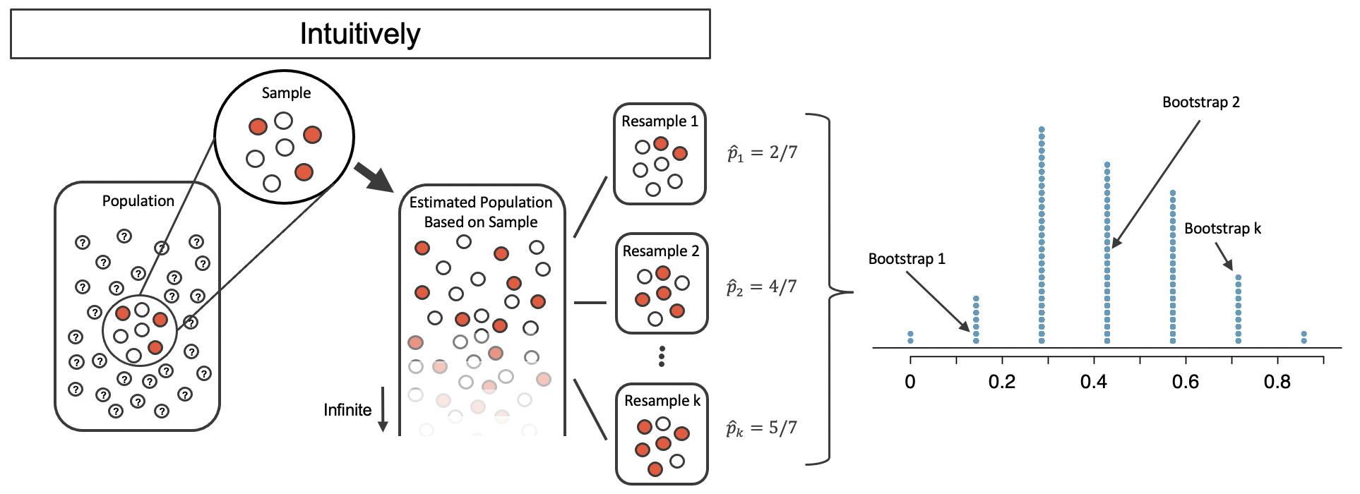 The same unknown large population with a sample of 3 red and 4 white marbles; the proxy population which is infinite with 3/7 red marbles; and the k Resamples of size 7 are shown.  From each of the resamples the bootstrapped proportion of red is calculated (shown as 2/7, 4/7, and 5/7).  Many many resamples are taken and summarized in a dotplot of the bootstrapped proportions.  The proportions range from 0/7 to 7/7 in a bell shape with the majority of bootstrapped proportions falling between 1/7 and 6/7.